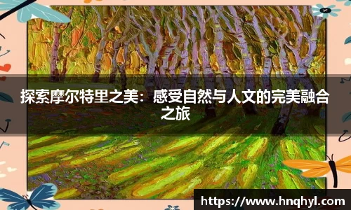 探索摩尔特里之美：感受自然与人文的完美融合之旅